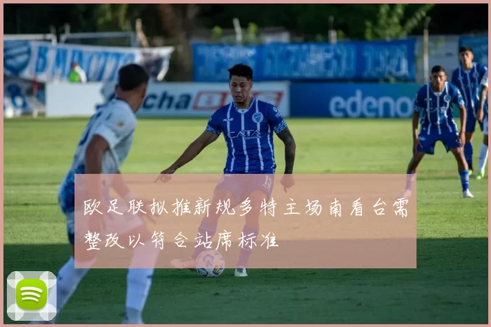 欧足联拟推新规多特主场南看台需整改以符合站席标准